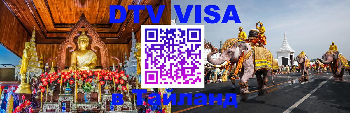 Оформление DTV визы под ключ: стоимость и тарифы, только загранпаспорт - 18.11.2025 